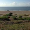 USA, Louisiana, Grand Isle beach, grass