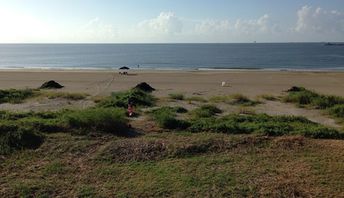 USA, Louisiana, Grand Isle beach, grass