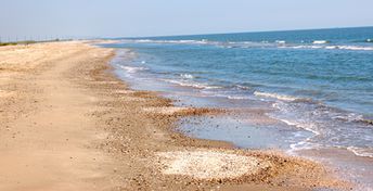 USA, Louisiana, Holly beach, water edge