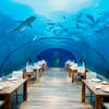 Alifu Dhaalu, Rangali, underwater cafe