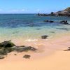 Hawaii, Maui, Hookipa Beach, turtle