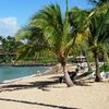 Hawaii, Maui, Napili Bay beach, palms