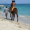 Jamaica, Hellshire beach, horse