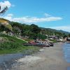 Jamaica, Little Ochie beach, palm