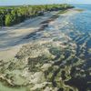 Kenya, Kikambala beach, aerial view