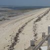 Kenya, Malindi beach, low tide