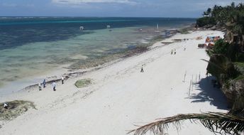 Kenya, Mombasa, Nyali beach