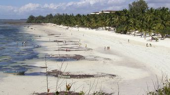 Kenya, Mombasa, Shanzu beach