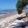 Kenya, Msambweni, Mbuyu Beach Bungalows