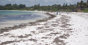 Kenya, Watamu beach