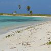 Los Roques, Cayo Carenero beach, palms