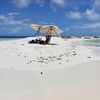 Los Roques, La Pelona sandbank