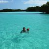 Los Roques, Rabusqui lagoon, starfish