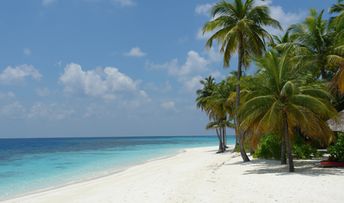 Maldives, Ari atoll, Mirihi island, beach