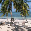 Mombasa, Shanzu beach, palms