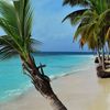 Panama, San Blas, Isla Chichime beach, palms
