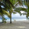 San Blas, Isla Iguana, beach, hammocks