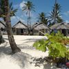 San Blas, Kuanidup island, beach hammock