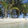 San Blas, Turtles island, beach, palms