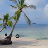 San Blas, Turtles island, two palms