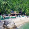 Thailand, Koh Tao, Jansom Bay beach, palms