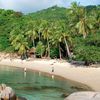 Thailand, Koh Tao, Sai Nuan beach, palms