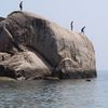 Thailand, Koh Tao, Tanote beach, The Rock