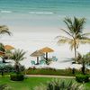 UAE, Ajman beach, palms
