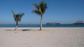 UAE, Khor Fakkan beach, palms