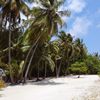 Alifu Dhaalu, Omadhoo island