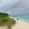 Ari atoll, Fenfushi beach, grass