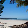 Australia, Port Douglas, Four Mile Beach, palm