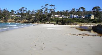 Australia, Tasmania, Spring Beach