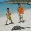 Bahamas, Exuma, Bitter Guana Cay, iguana beach