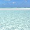 Bahamas, Exuma, Coco Plum beach, sandbank