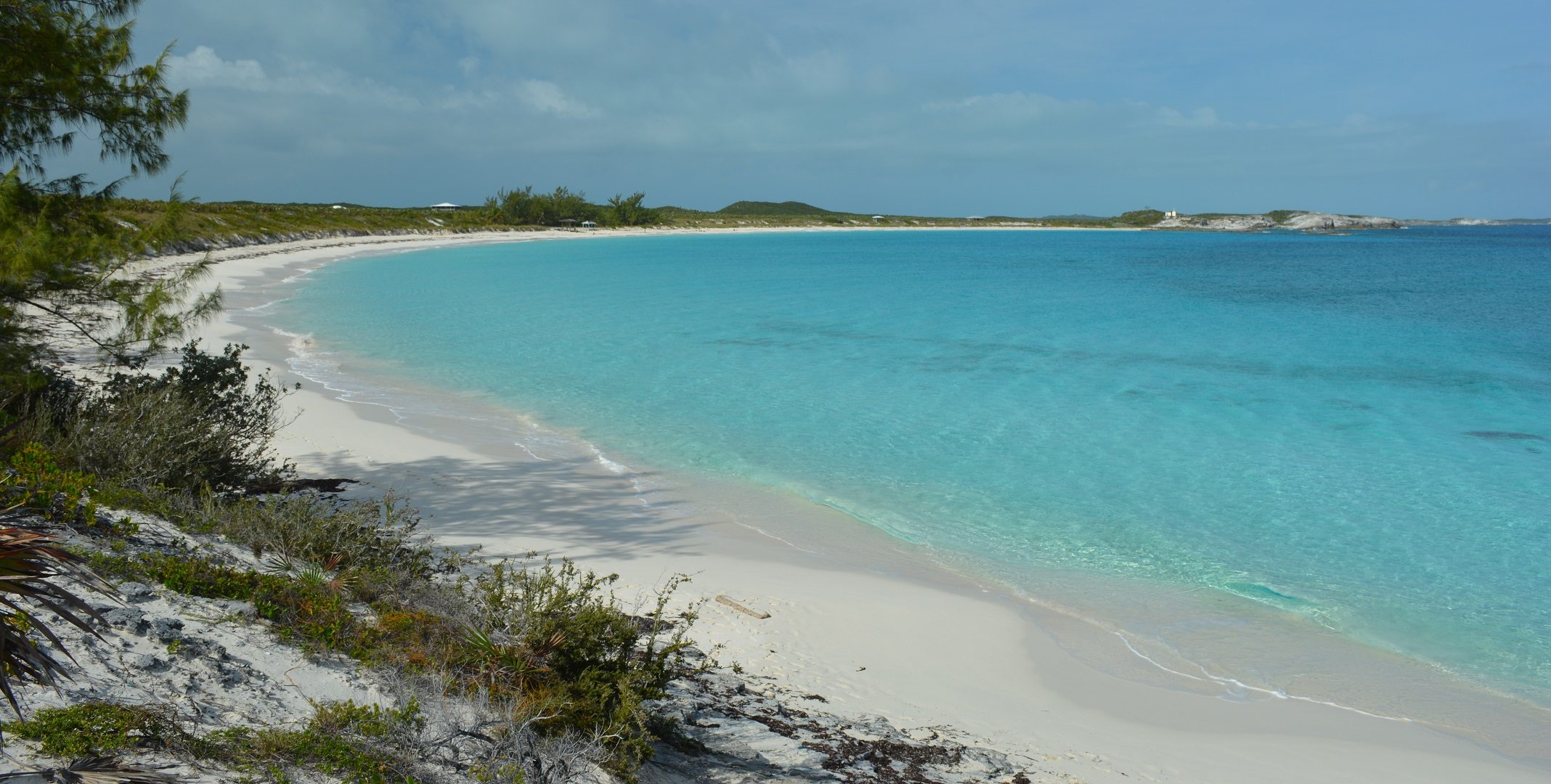 Compass Cay island, Exuma Cays, Bahamas Ultimate guide (September 2024)