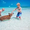 Bahamas, Exuma, Pig Beach