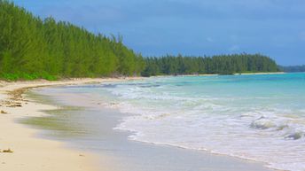 Bahamas, Grand Bahama, Barbary beach