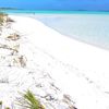 Exuma, Coco Plum beach, grass