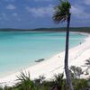 Exuma, Great Guana Cay, beach, palm