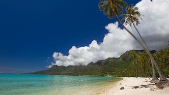 French Polynesia, Moorea, Temae beach