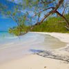 Grand Bahama, Barbary beach, water edge
