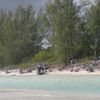 Grand Bahama, Gold Rock beach, trees