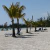 Grand Bahama, Xanadu beach, palms