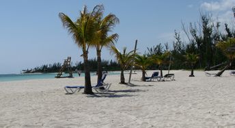 Grand Bahama, Xanadu beach, palms