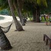 Malaysia, Tioman, Genting beach, palms