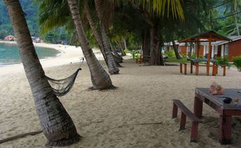 Malaysia, Tioman, Genting beach, palms