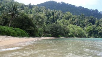 Malaysia, Tioman, Monkey Beach