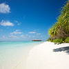 Maldives, Alifu Dhaalu, Dhidhoofinolhu isl, beach