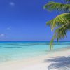 Мальдивы, Ари атолл, о. Дигура, пляж